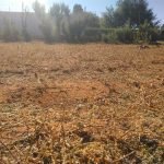 IMG_20210207_164744 IMG_20210207_164744